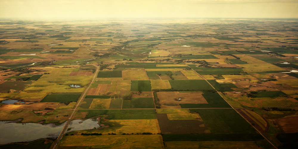 Aerial view of land